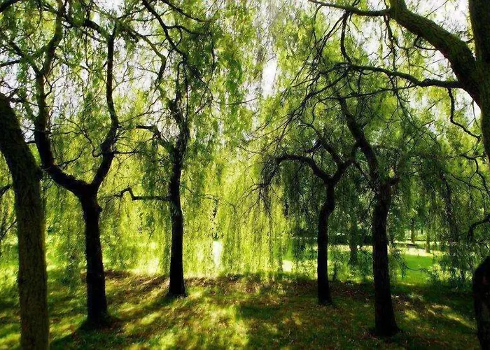 Barberstown Castle Отель Straffan