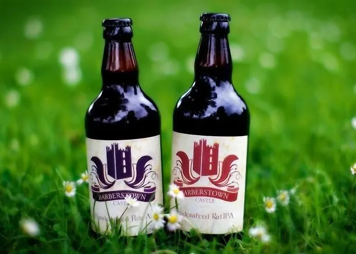 Barberstown Castle Hotel