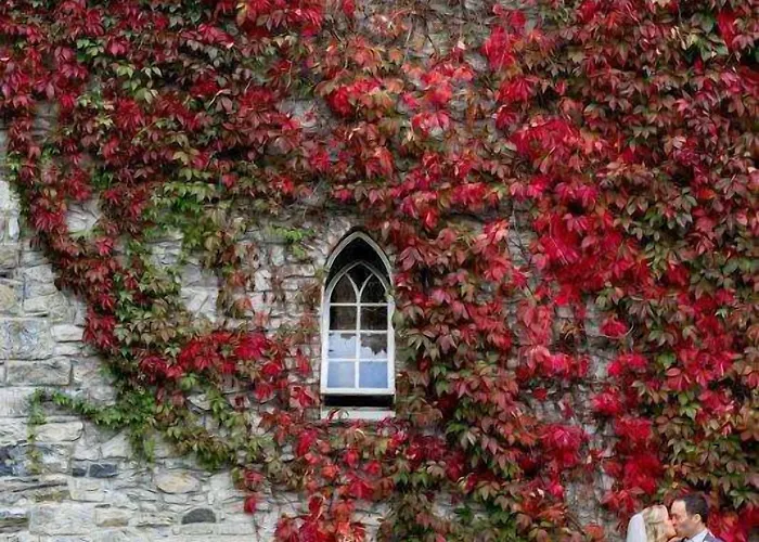 Hotel Barberstown Castle 4*